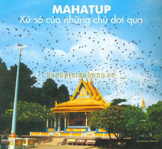 Chùa Dơi đem đến sự thanh tịnh, yên bình cho du khách